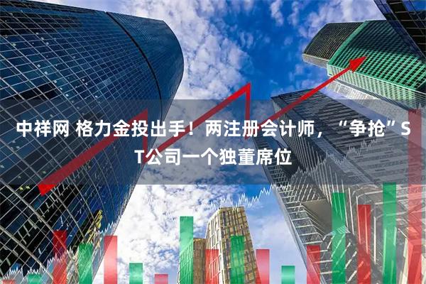 中祥网 格力金投出手！两注册会计师，“争抢”ST公司一个独董席位