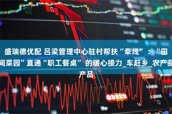 盛瑞德优配 吕梁管理中心驻村帮扶“牵线” ：“田间菜园”直通“职工餐桌” 的暖心接力_车赶乡_农产品