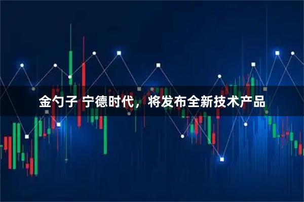金勺子 宁德时代，将发布全新技术产品