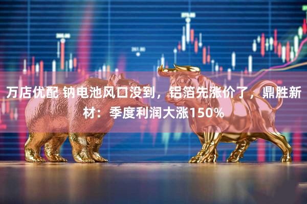 万店优配 钠电池风口没到，铝箔先涨价了，鼎胜新材：季度利润大涨150%